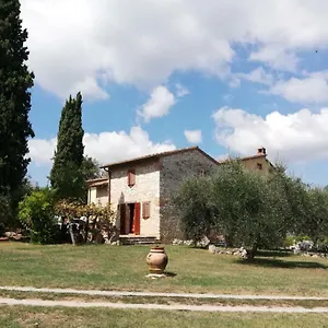 Nel Chianti Lungo La Francigena , Colle di Val d'Elsa Italia